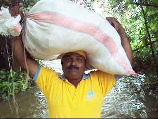 2011 Flood Work - Mahanga